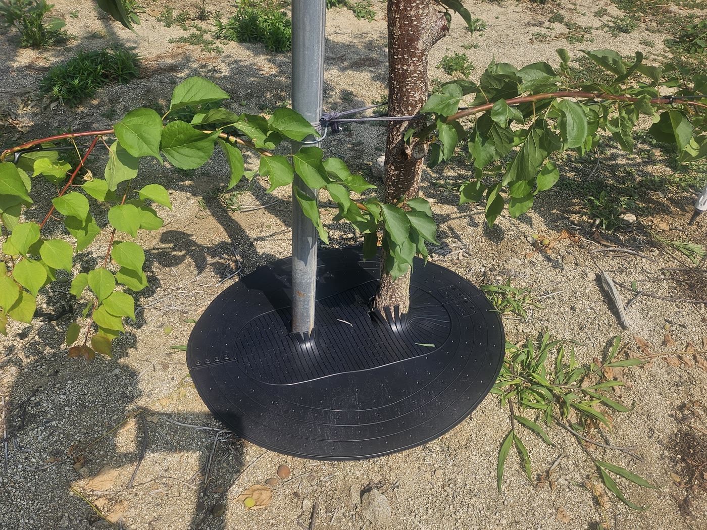 잡초억제메트